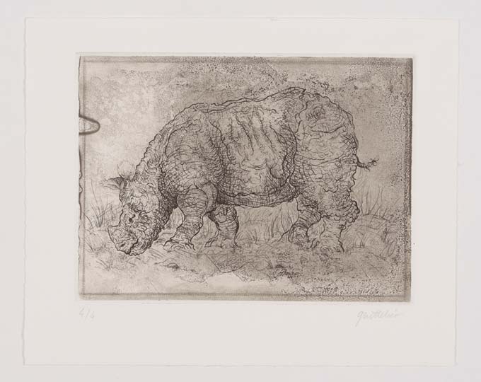 engraving rhinoceros art estampe impression